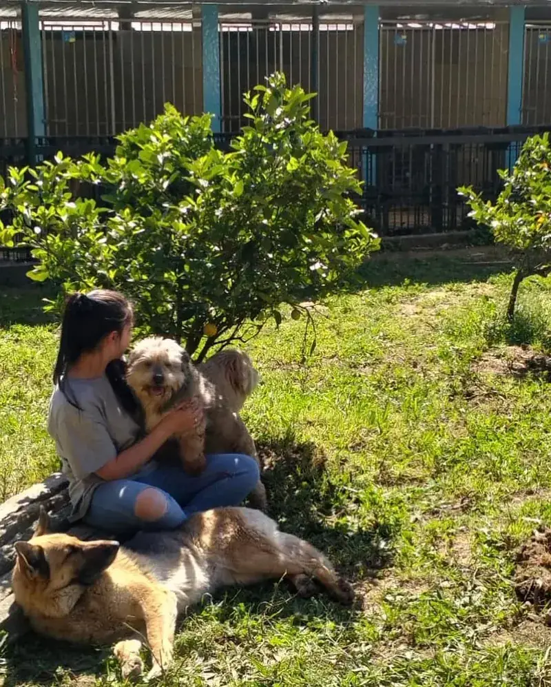 Colaboradora sentada na relva rodeada de cães da creche