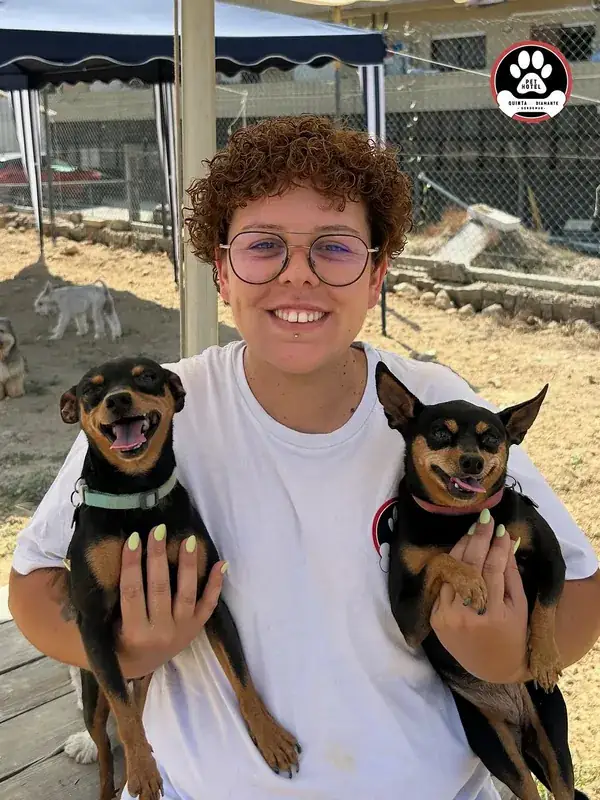 Colaboradora ao colo com dois cães pequenos, ambos descontraídos
