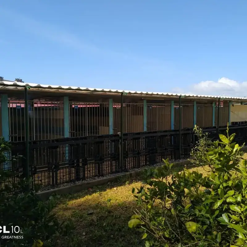 Bloco de quartos visto de fora, com laranjeiras em primeiro plano