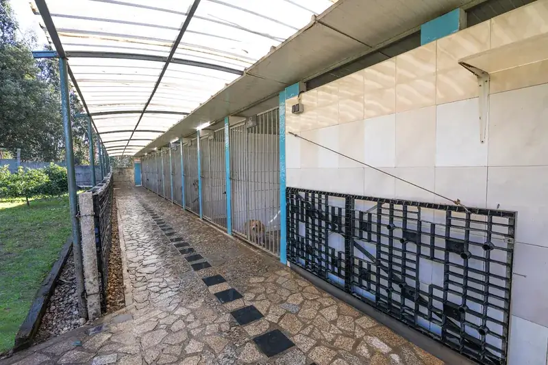 Vista exterior do bloco de quartos, com relvado e pomar ao lado