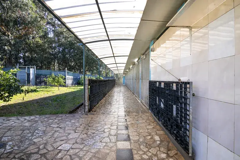 Corredor de quartos do hotel com vista para o relvado da quinta
